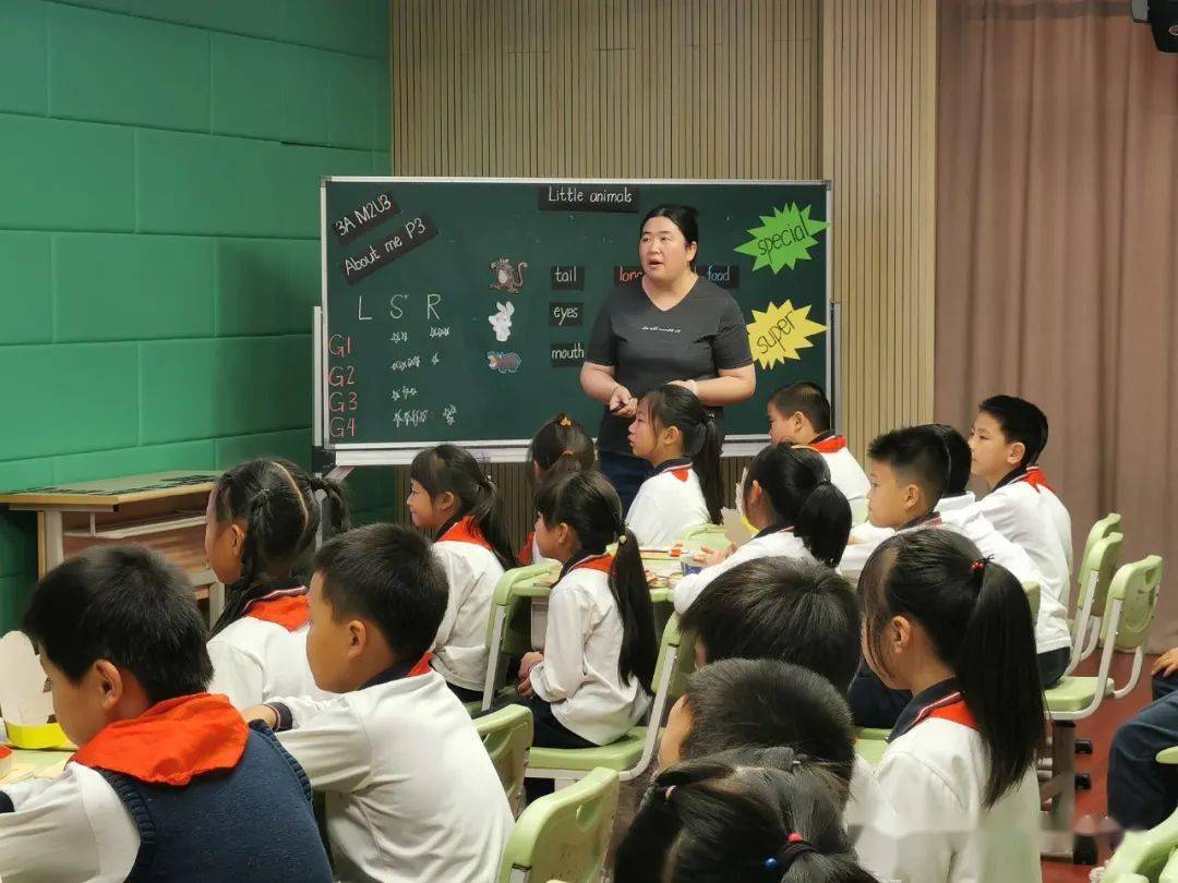 如何通過跨學科教學提升雙語教育質(zhì)量