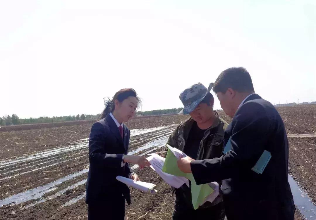 雙語學校如何提高學生的書面表達能力