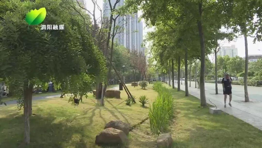 雙語課堂跨學(xué)科整合的優(yōu)化策略