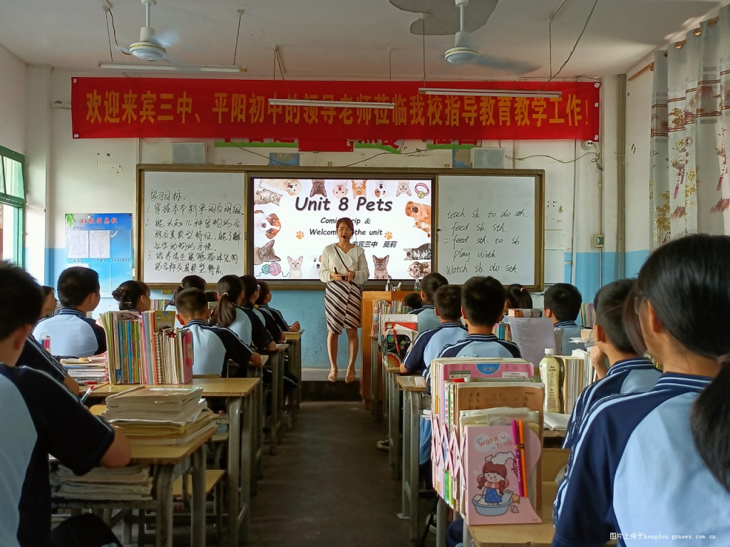 如何提高雙語(yǔ)學(xué)校的教師跨學(xué)科教學(xué)能力
