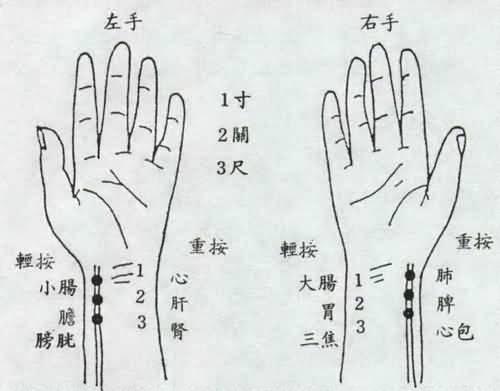 提升自主學(xué)習(xí)能力，學(xué)生評估與支持策略與實(shí)踐