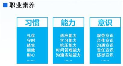 教師職業(yè)素養(yǎng)提升，內涵、挑戰(zhàn)及應對策略
