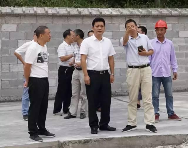 校園交通安全標識規(guī)范化，打造安全和諧的校園環(huán)境