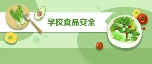 校園食品安全與教師食品安全教育的至關重要性