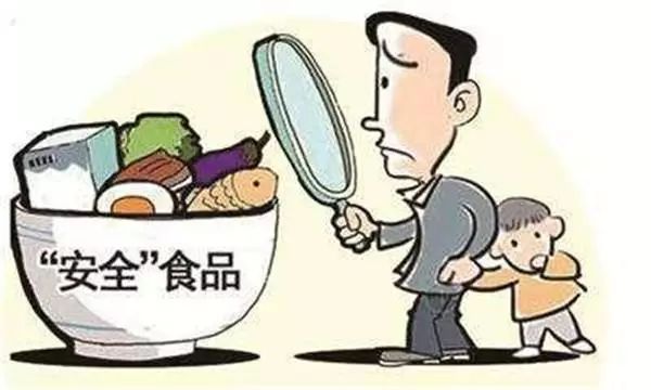 校園食品安全監(jiān)管與學(xué)生參與機(jī)制的深度探討，學(xué)校食品安全監(jiān)管與學(xué)生權(quán)益保障研究