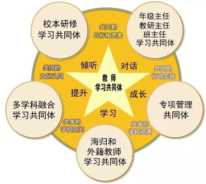 雙語教師在教學(xué)團(tuán)隊(duì)中的協(xié)調(diào)者角色探究