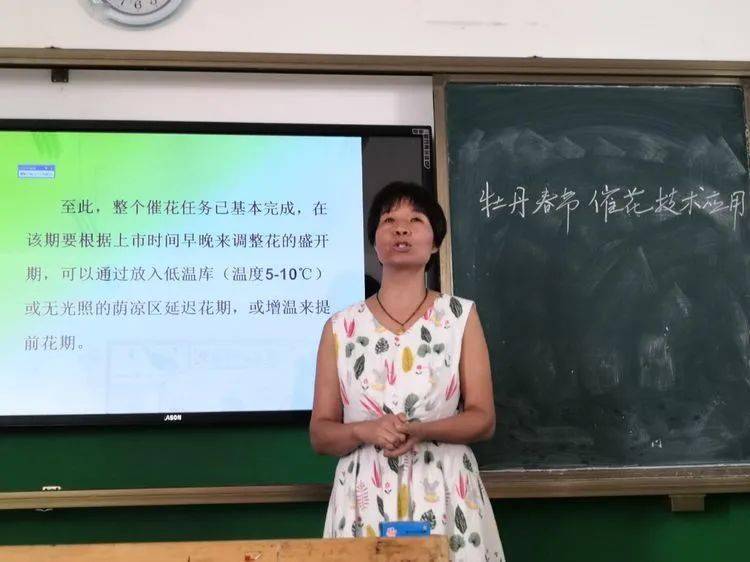 孟津雙語學校職業(yè)技術(shù)學院優(yōu)秀教師風采展示第十九期紀實