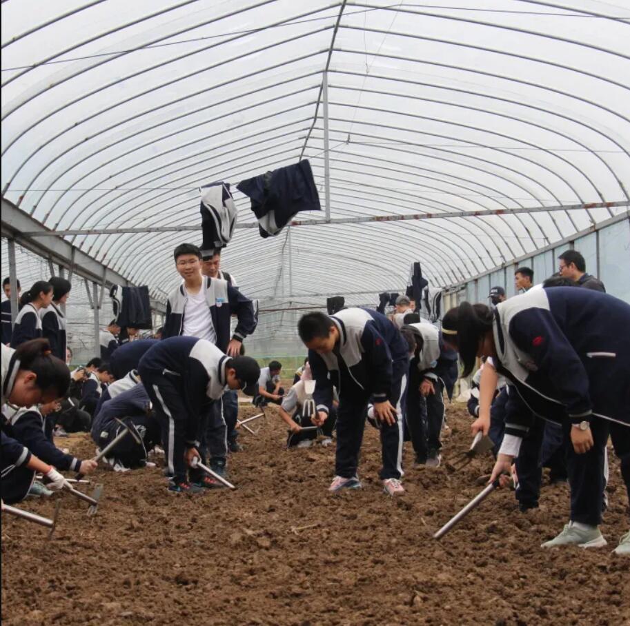 我院開展培根鑄魂，立德樹人師德主題演講比賽