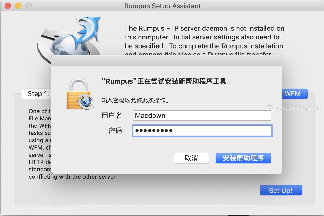 2026年WhatsApp網頁版文件傳輸優(yōu)化探究